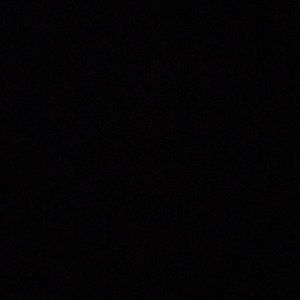 Meet your Posher, Levi